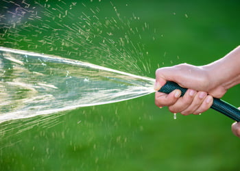 Aussie Tree Solutions Proper Watering