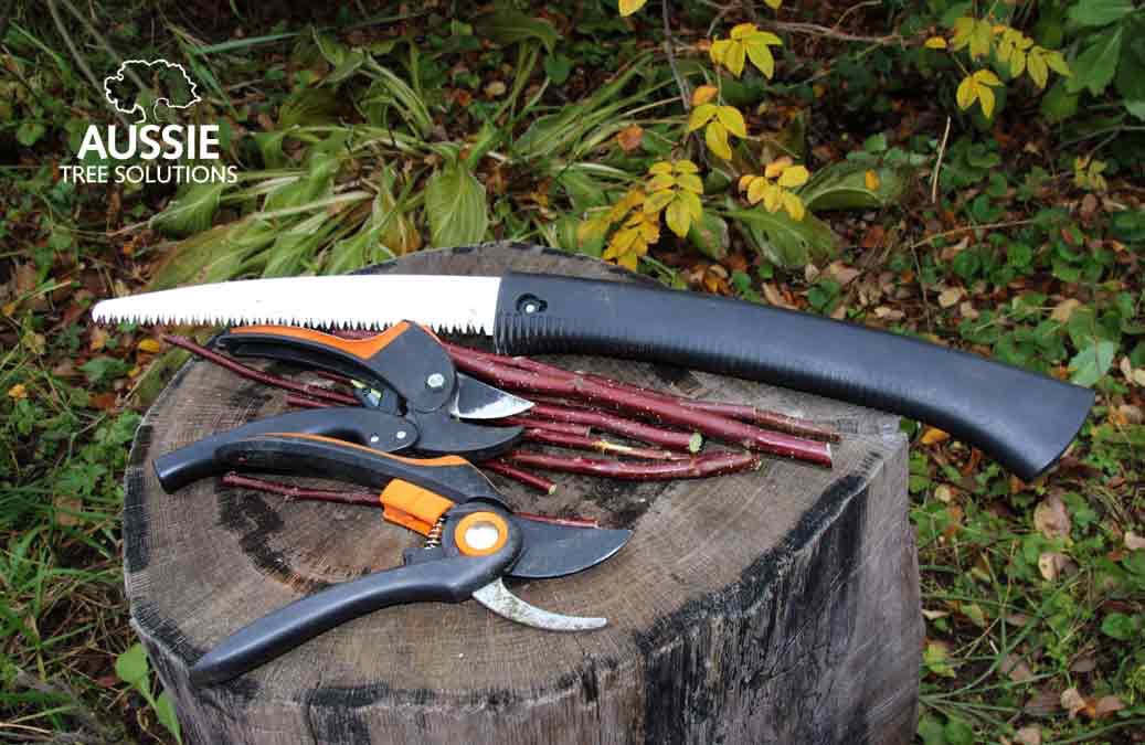 Tree Pruning Do’s and Don’ts