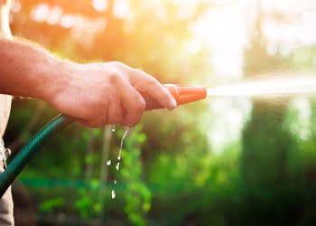 Aussie Tree Solutions Water