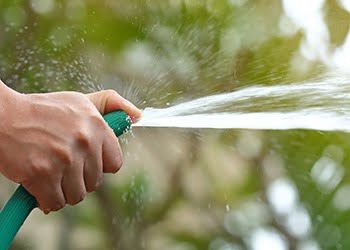 Aussie Tree Solutions Water