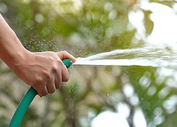 Aussie Tree Solutions Fertiliser And Water