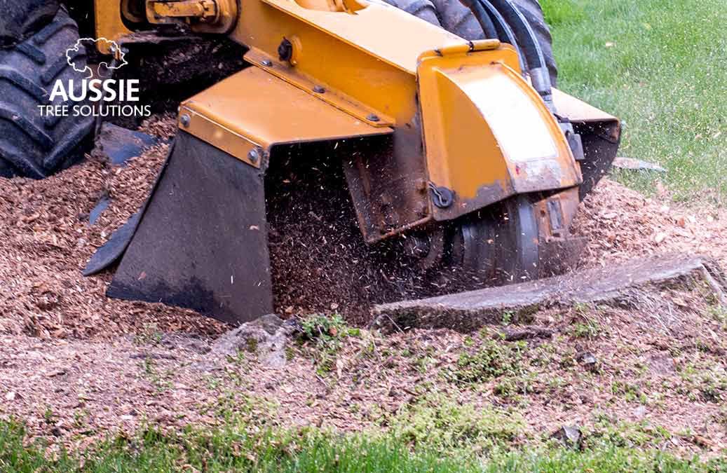 What Is Stump Grinding And How Does It Work?