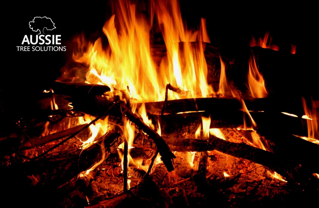 Aussie Tree Solutions How To Build The Perfect Fire Using Firewood