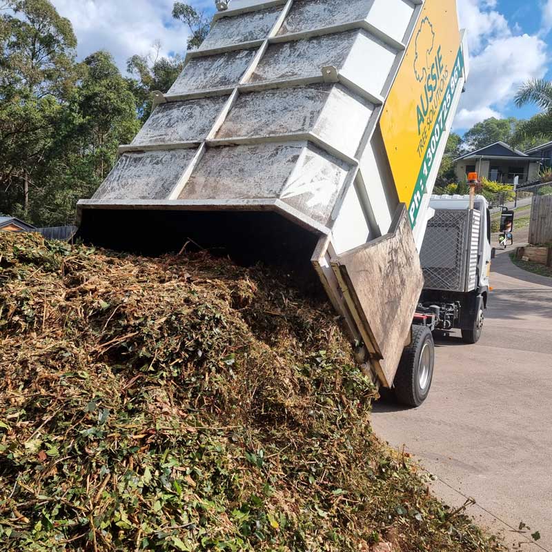 Aussie Tree Solutions Forest Mulch