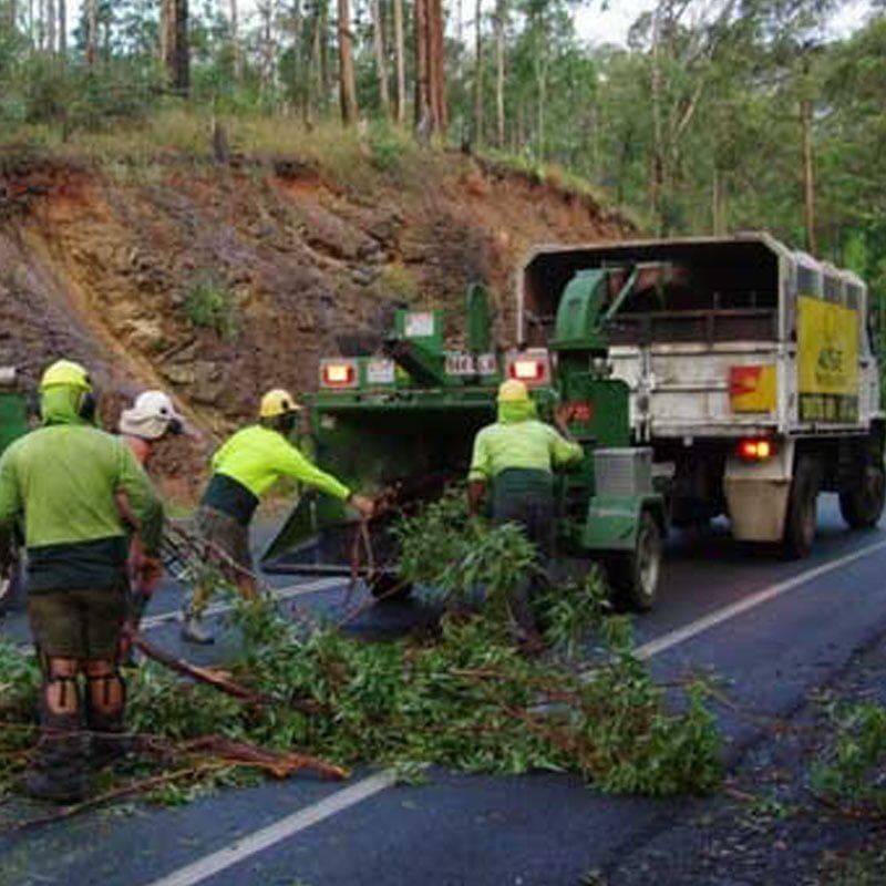 Commercial Tree Services Brisbane
