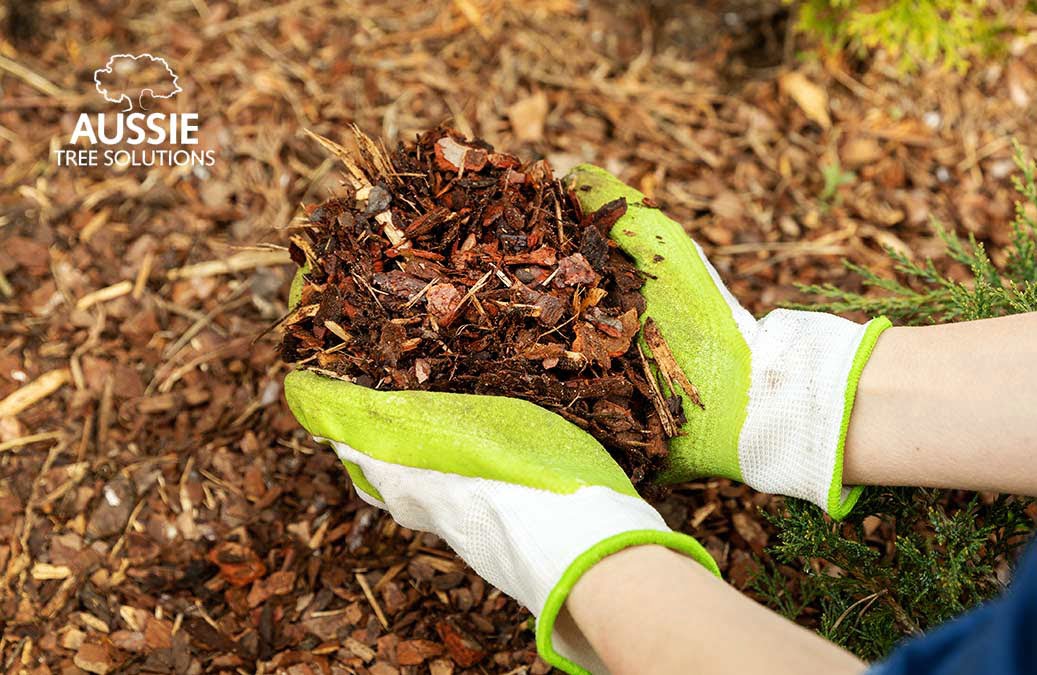 Aussie Tree Solutions The Benefits Of Using Tree Mulch In Your Garden