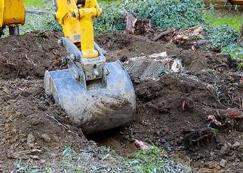 Aussie Tree Solutions Tree Stump Removal