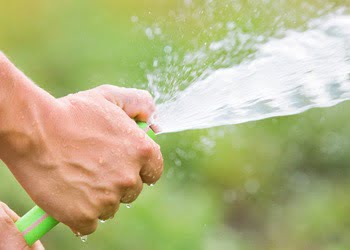 Aussie Tree Solutions Proper Watering